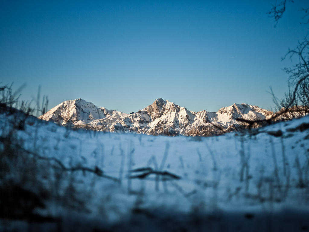 Ferienwohnungen Matzner Admont Exterior foto